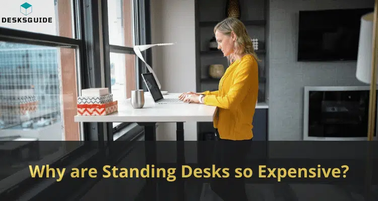 Why are Standing Desks so Expensive featured