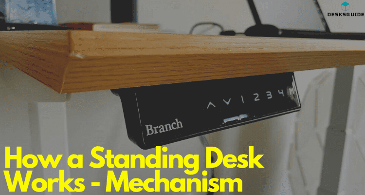 How a Standing Desk Works